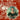 Annie Lennox - A Christmas Cornucopia
